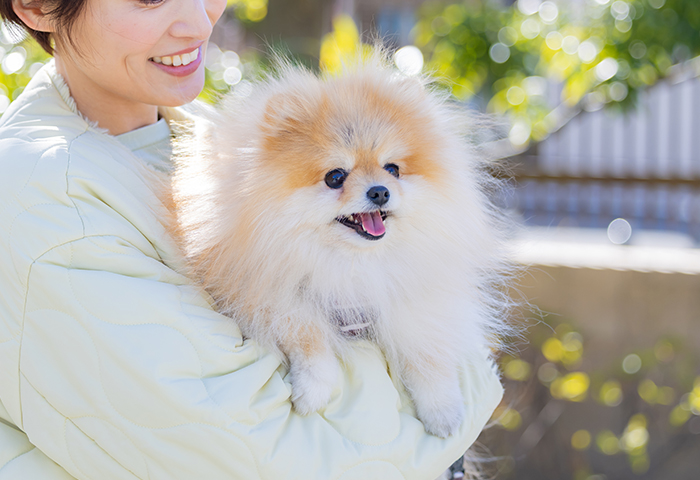 元ペットショップ経営者の​安心感