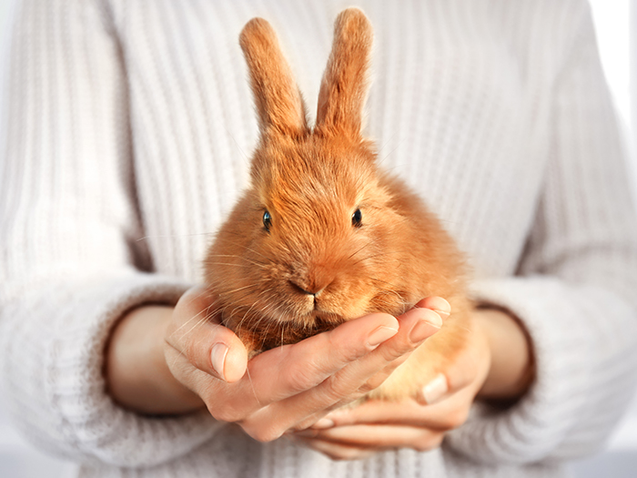 ご来店・お預かり